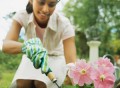 Get your garden ready for Spring!
