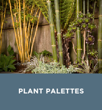 View Plant Palettes